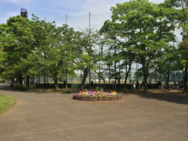東綾瀬公園の野球場A・B