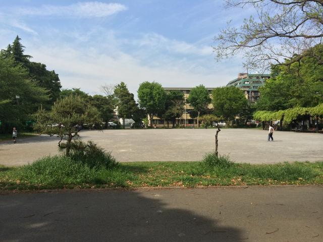 東綾瀬公園の多目的広場