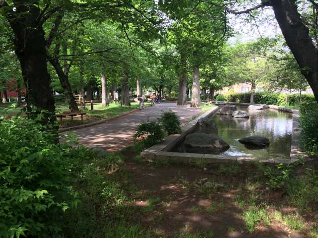 東綾瀬公園のフィットネス広場～全体の雰囲気