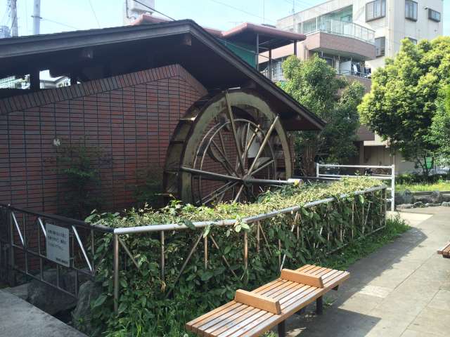 東綾瀬公園の水車