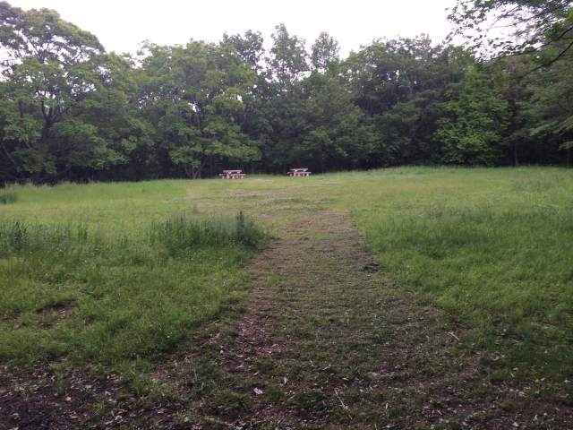 東大和公園のエノキ広場