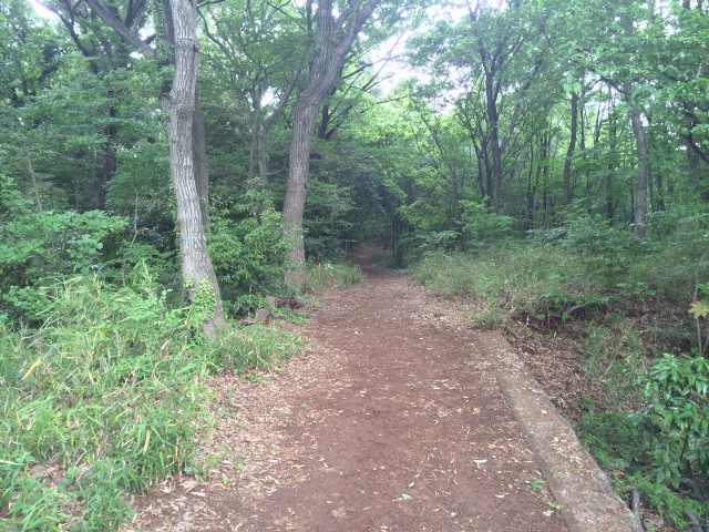 東大和公園・円乗院口