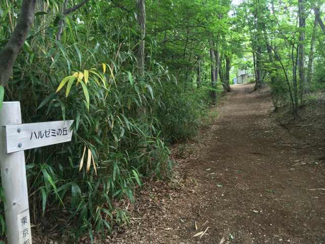 東大和公園の道しるべ