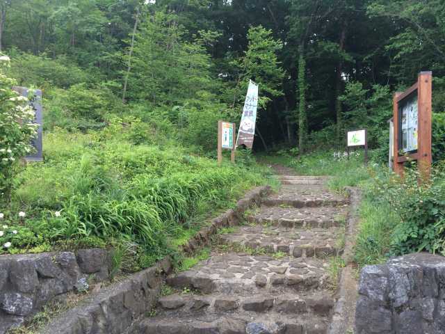 東大和公園・石畳口