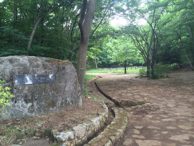 東大和公園・正門