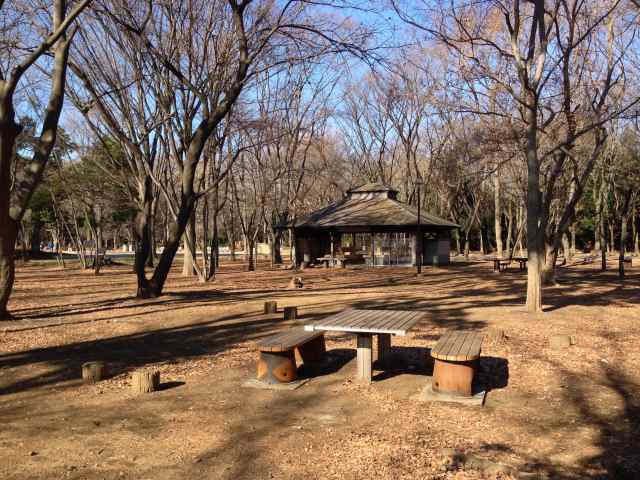 デイキャンプ場