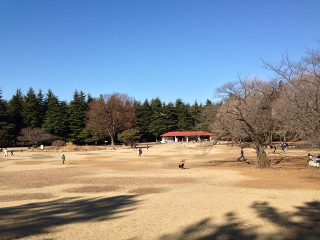 芝生広場