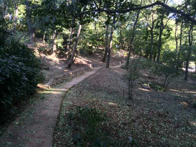 平山城址公園のやまつつじの小道