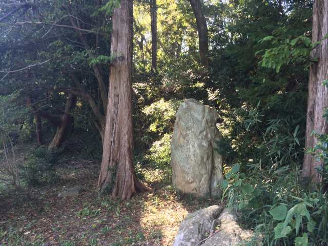 平山城址公園の皇太子殿下御結婚記念樹