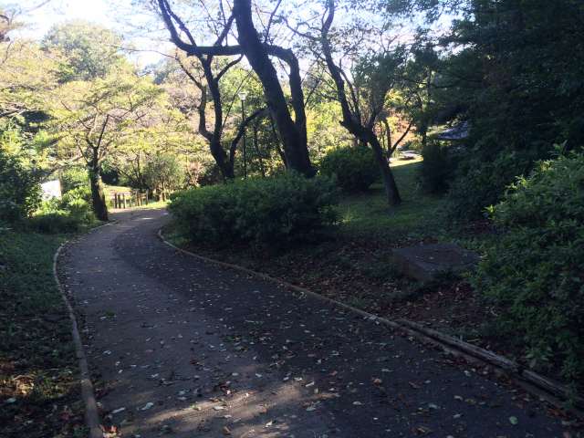 平山城址公園のさくらの道