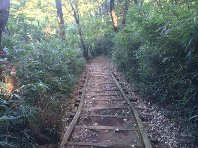 平山城址公園の六国の道