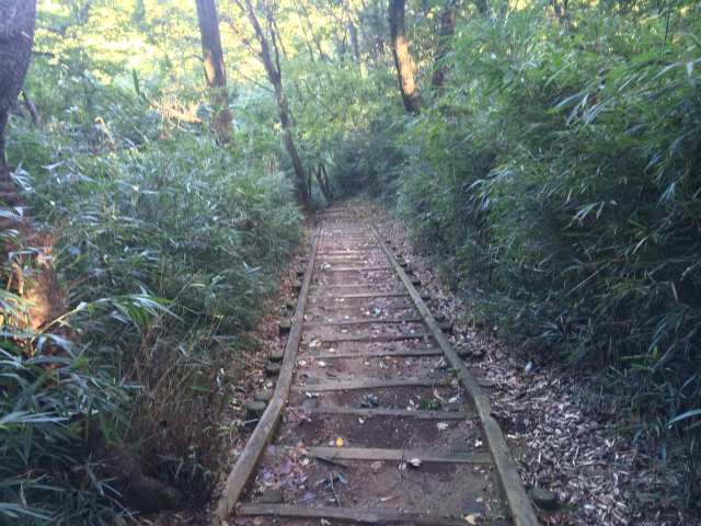 平山城址公園の六国の道