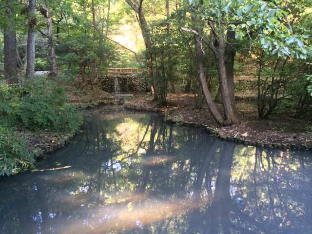 平山城址公園の猿渡の池
