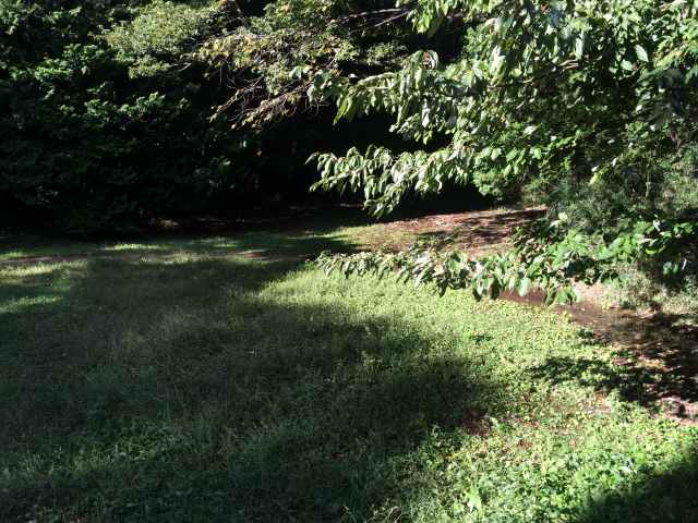 平山城址公園の草広場