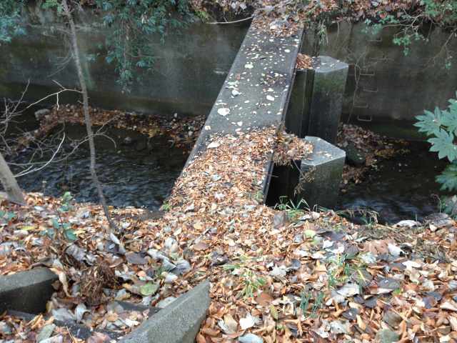 玉川上水