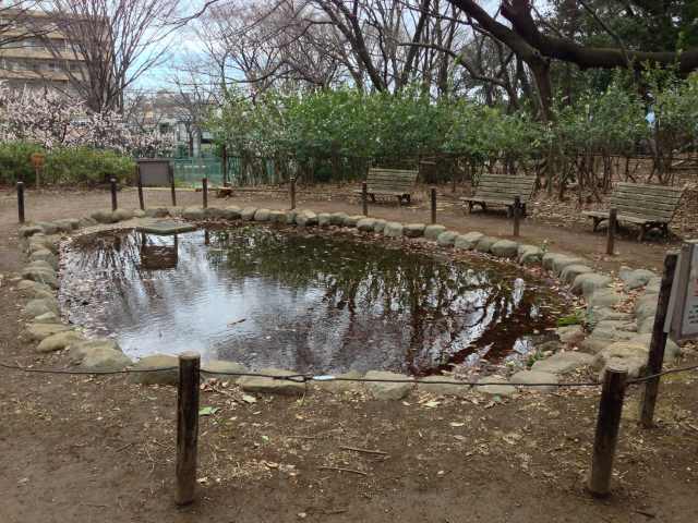 城北中央公園の癒しの庭