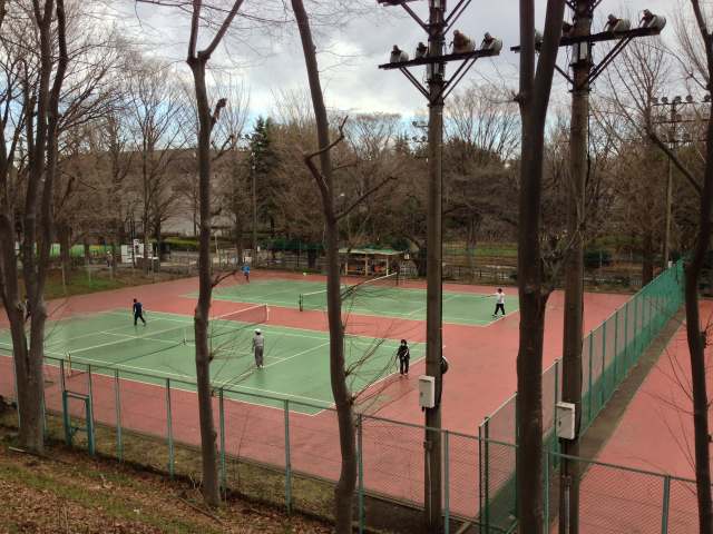 城北中央公園のテニスコート