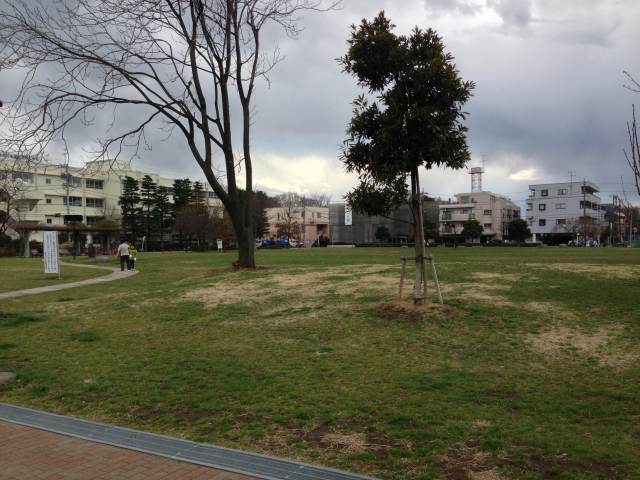 城北中央公園のりんご広場