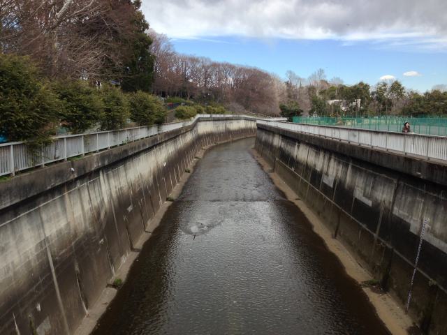 城北中央公園近くの石神井川