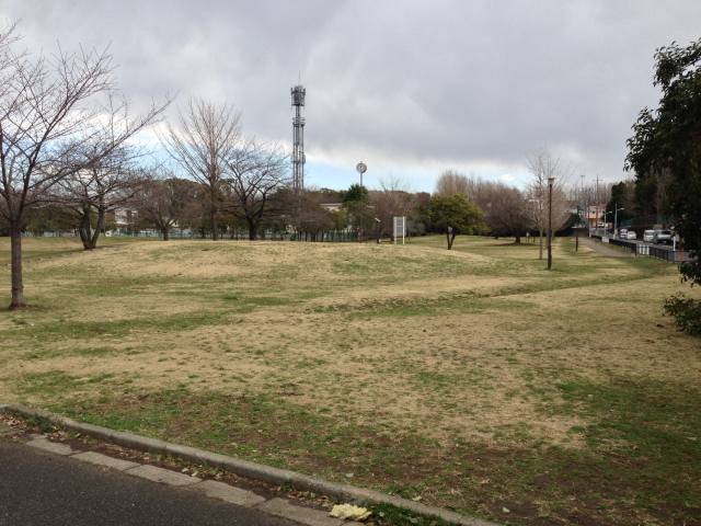 城北中央公園のかりんの広場