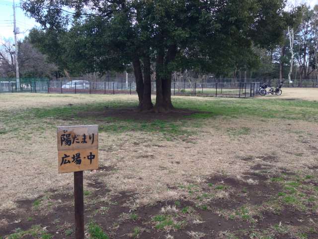 城北中央公園の陽だまり広場