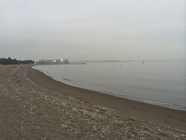城南島海浜公園のつばさ浜~近景