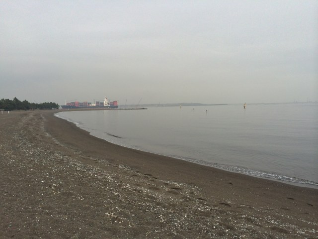 城南島海浜公園のつばさ浜～近景