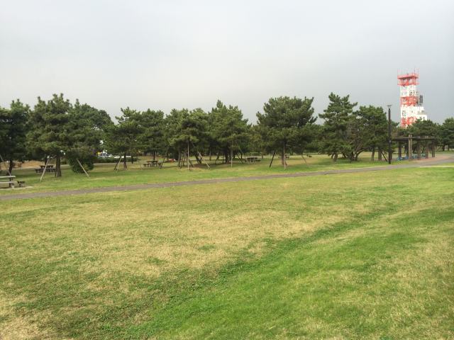 城南島海浜公園のピクニック園地