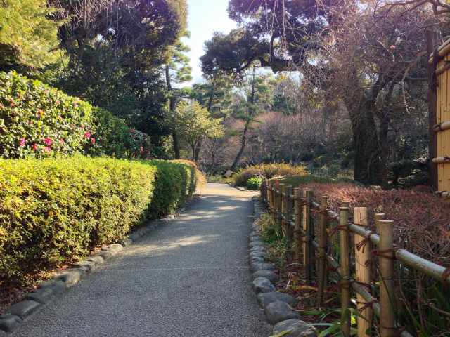 甘泉園公園の園道