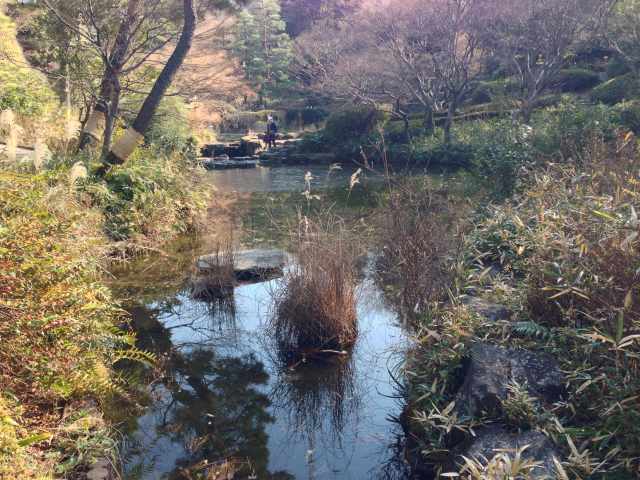 甘泉園公園の下池