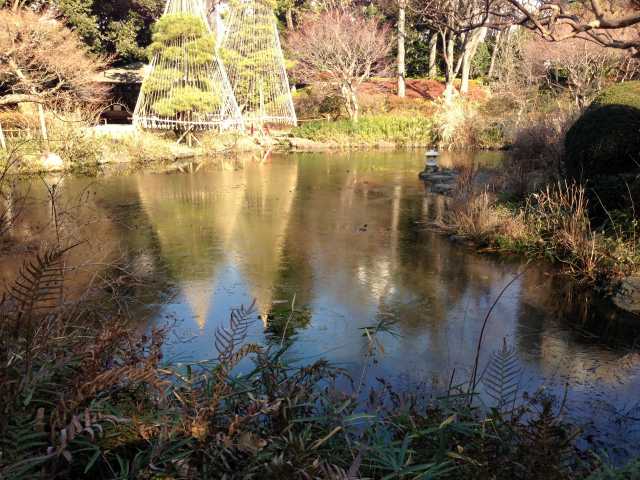 甘泉園公園の上池