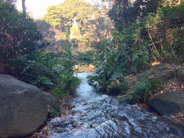 甘泉園公園の小川