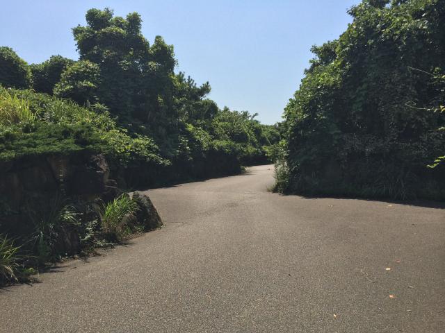 葛西臨海公園の鳥類園ゾーン