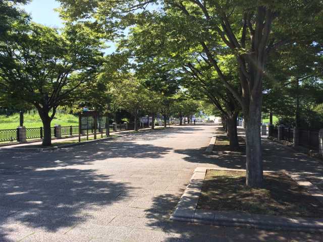 葛西臨海公園の中央プロムナード