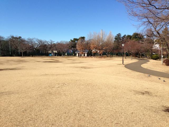 柏の宮公園の草地広場