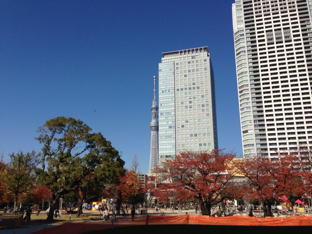 水と緑と花の広場