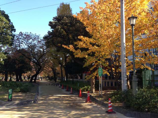 駅側園路