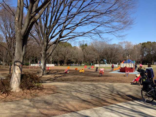 砧公園の子供の森