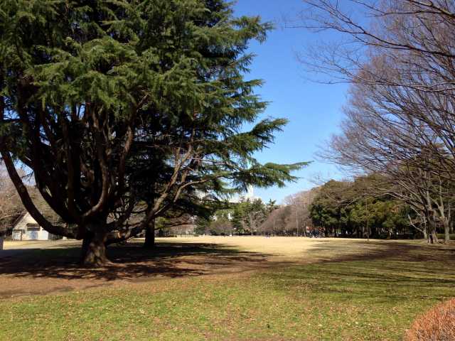 砧公園のファミリーパーク