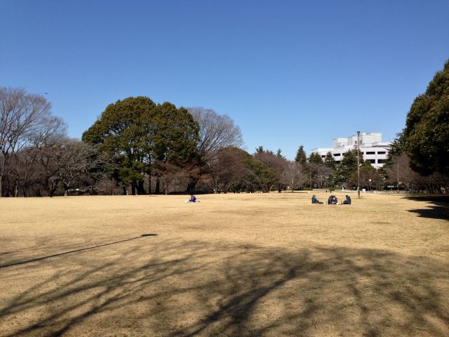 砧公園の芝生広場