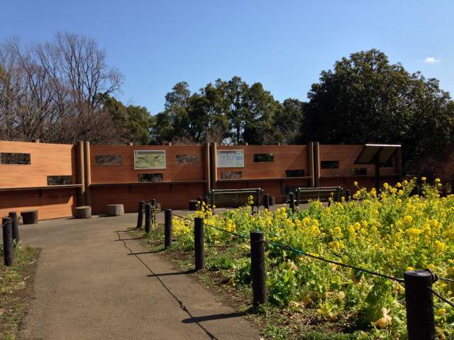 砧公園の観察窓~外観