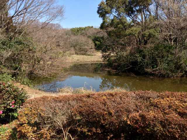 砧公園の観察窓～窓から覗いた風景