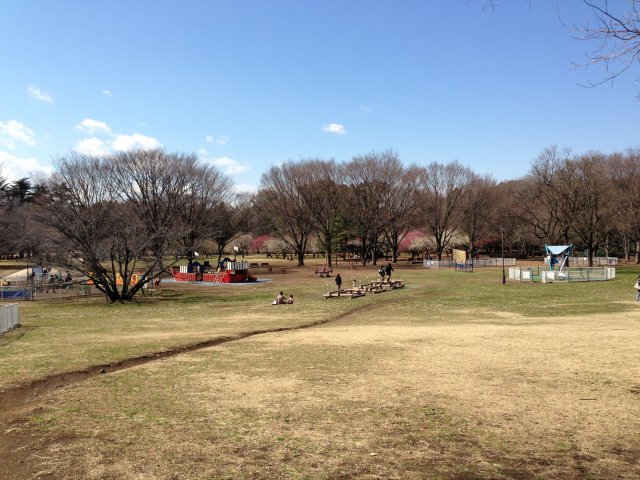 砧公園のわくわく広場