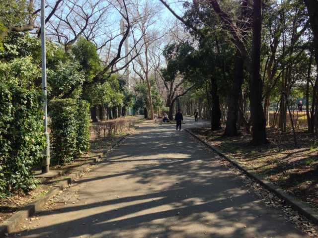 北区立中央公園の西の園路