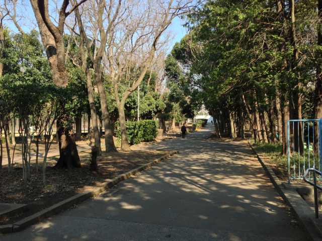 北区立中央公園の南の園路