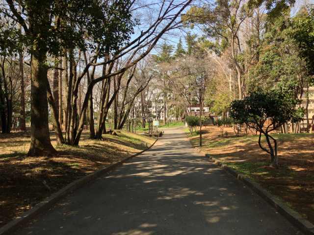 北区立中央公園の東の園路