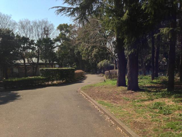 北区立中央公園の北の園路