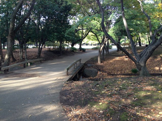 清澄公園内の小橋