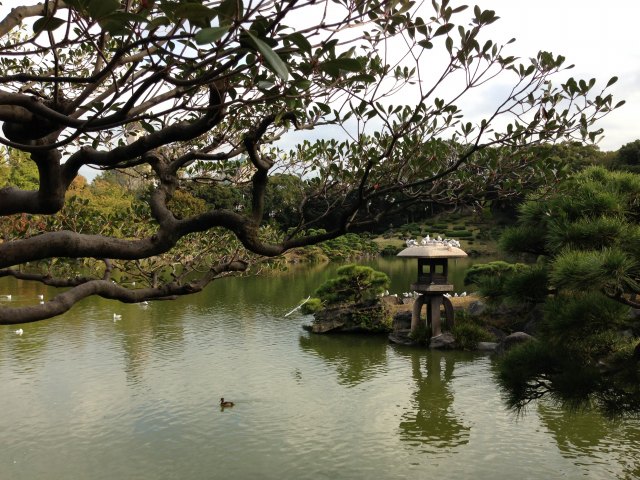 清澄庭園の植物