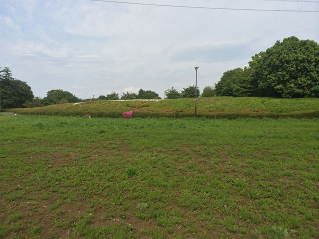 小金井公園のつつじ山広場～